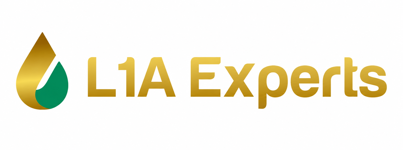 l1aexperts logo